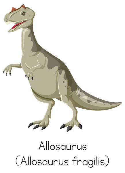 Allosaurus Fragilis Pie Sobre Fondo Blanco Ilustración — Vector de stock