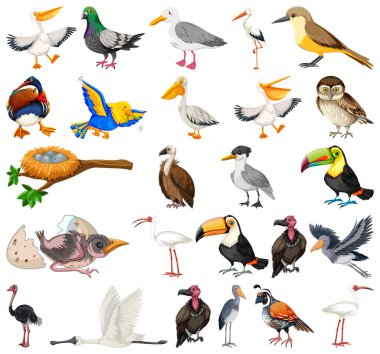 Farklı kuş türleri resim koleksiyonu