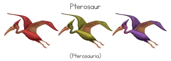 Pteroszaurusz Három Színben Illusztráció — Stock Vector