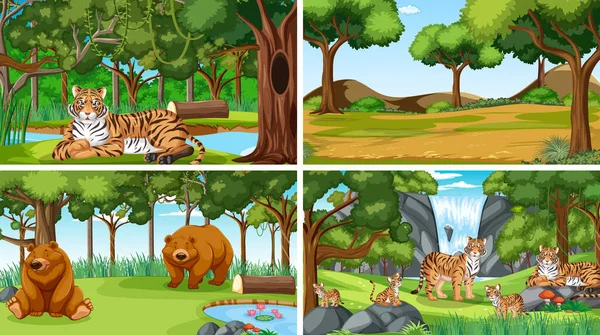 Різні Лісові Сцени Ілюстрацією Диких Тварин — стоковий вектор
