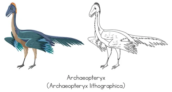 Dibujo Dinosaurios Ilustración Archaeopteryx — Vector de stock