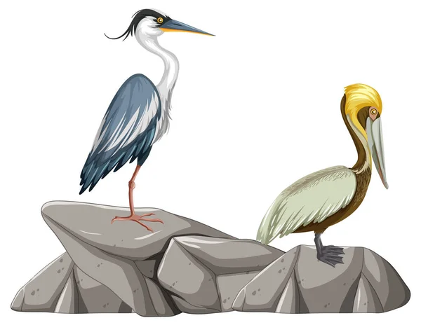 Due Uccelli Piedi Sulla Roccia Illustrazione — Vettoriale Stock