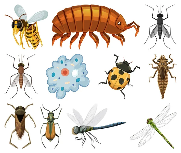 白を基調とした様々な昆虫や動物のイラスト — ストックベクタ