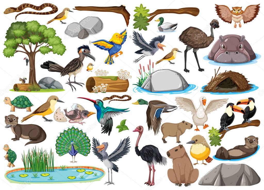 Different kinds of wild animals collection illustration