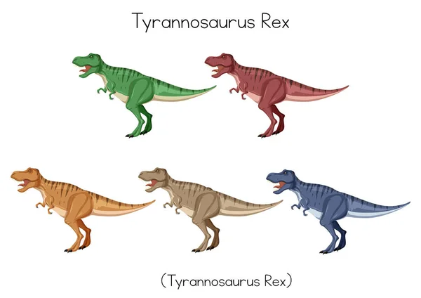 Beş Renkli Tyrannosaurus Rex — Stok Vektör