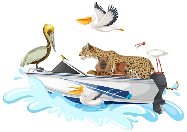 Muitos Animais Barco Ilustração — Vetor de Stock