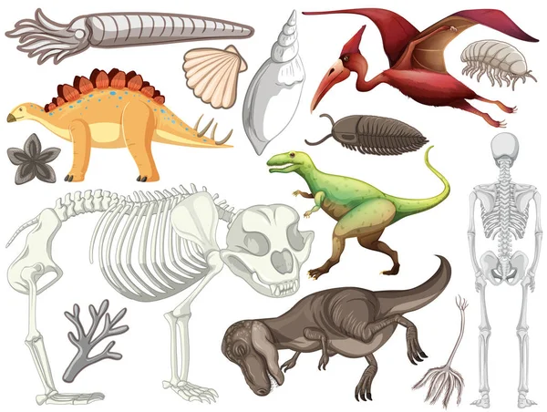 Σύνολο Διαφορετικών Προϊστορικών Ζώων Δεινοσαύρων Εικονογράφηση — Διανυσματικό Αρχείο