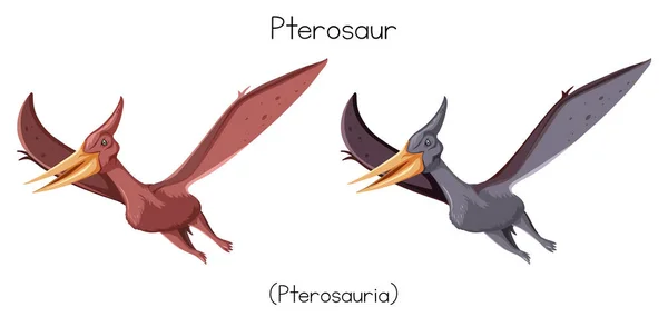 Pterosaurs Két Színben Illusztráció — Stock Vector