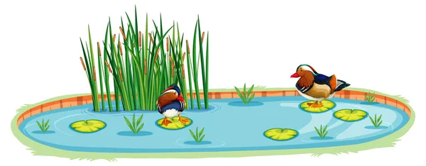 卡通风格插图中池塘里的鸭子 — 图库矢量图片