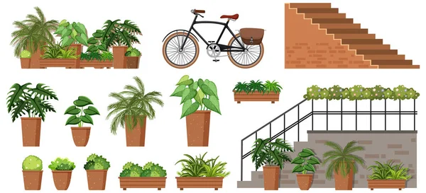 Diferentes Plantas Vasos Escadas Ilustração — Vetor de Stock