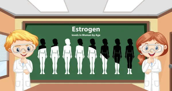 年齢別女性のエストロゲンレベル図 — ストックベクタ