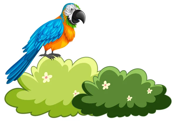 Parrot Staning Bush Illustration — Stock Vector