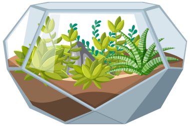 Beyaz arkaplan illüstrasyonunda sulandırılmış şirin cam geometrik teraryumlar