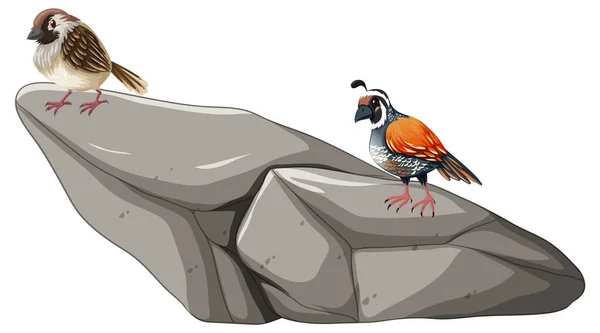 白い背景のイラストの岩の上に立つ鳥 — ストックベクタ