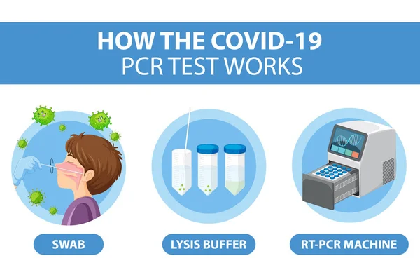 Covid Testdiagram Med Illustration Antigentestkit — Stock vektor