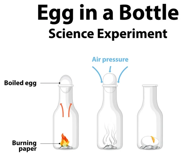 Vetenskap Experiment Att Göra Hemma Med Ägg Flaska Illustration — Stock vektor