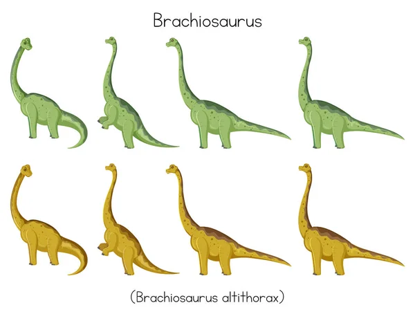 Brachiosaurus Different Posts Illustration — Stock Vector