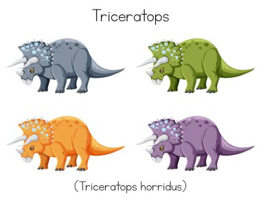 Triceratops dört renk illüstrasyonu