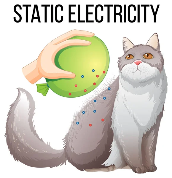 Static Electricity Experiment Balloon Cat Illustration — Stock Vector