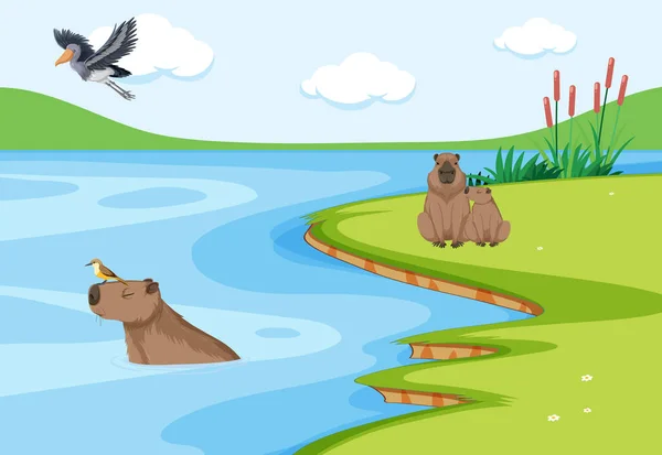 Capybara Bor Naturen Damm Illustration — Stock vektor
