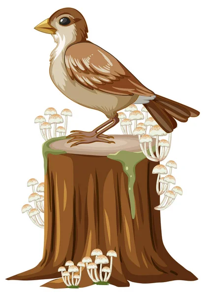 Sparrow Standing Stump Illustration — Stock Vector