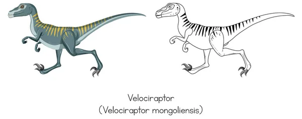 Velociraptor Illüstrasyonunun Dinozor Çizimi — Stok Vektör