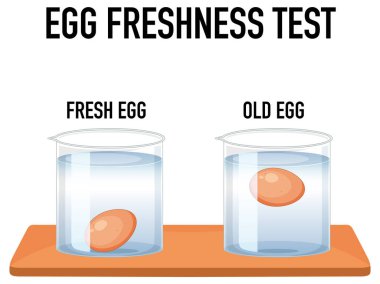 Tazelik illüstrasyonu için test yumurtaları üzerinde bilim deneyi