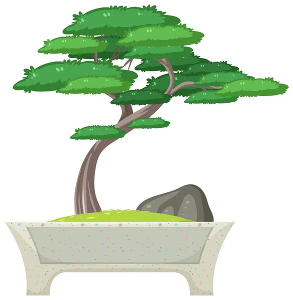 Bonsai Tree Pot White Background Illustration — Stock Vector