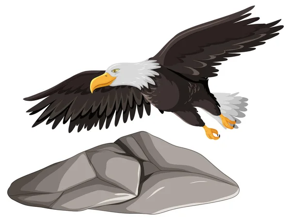 Eagle Flying Gray Rock Illustration — Stock Vector