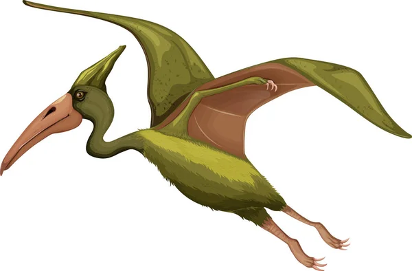 Pteranodon Dinosaur White Background Illustration — Stock Vector