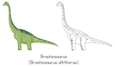 Dinozor çizimi brachiosaurus çizimi