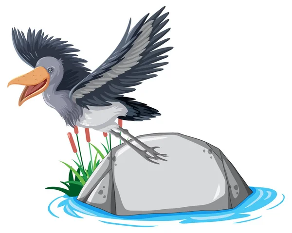 苍鹭鸟站在石头上的白色背景图上 — 图库矢量图片