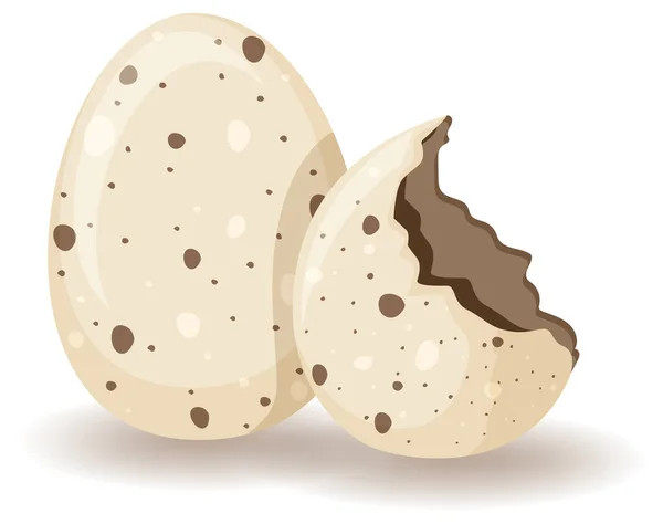 Egg Shell Cracking White Background Illustration — Stock Vector