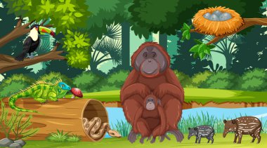 Ormandaki vahşi hayvanlar.