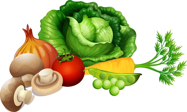 Conjunto Verduras Sobre Fondo Blanco Ilustración — Vector de stock