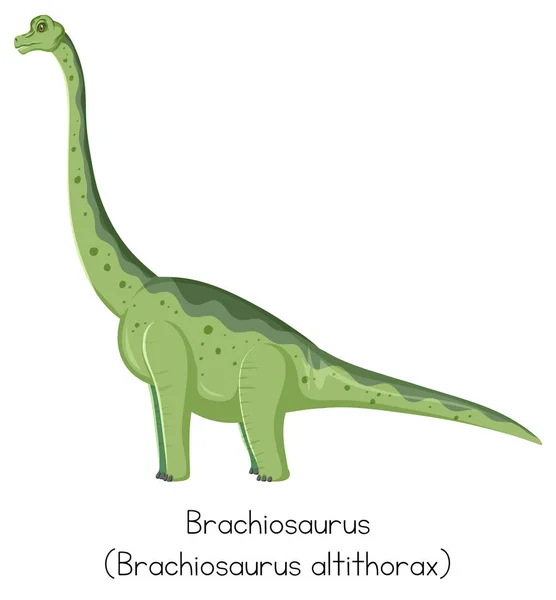 Brachiosaure Illustration Couleur Verte — Image vectorielle