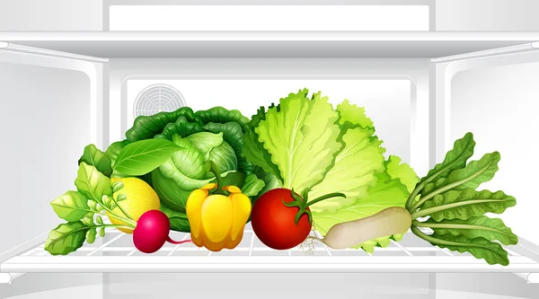 Refrigerator Vegetable Illustration — Stock Vector