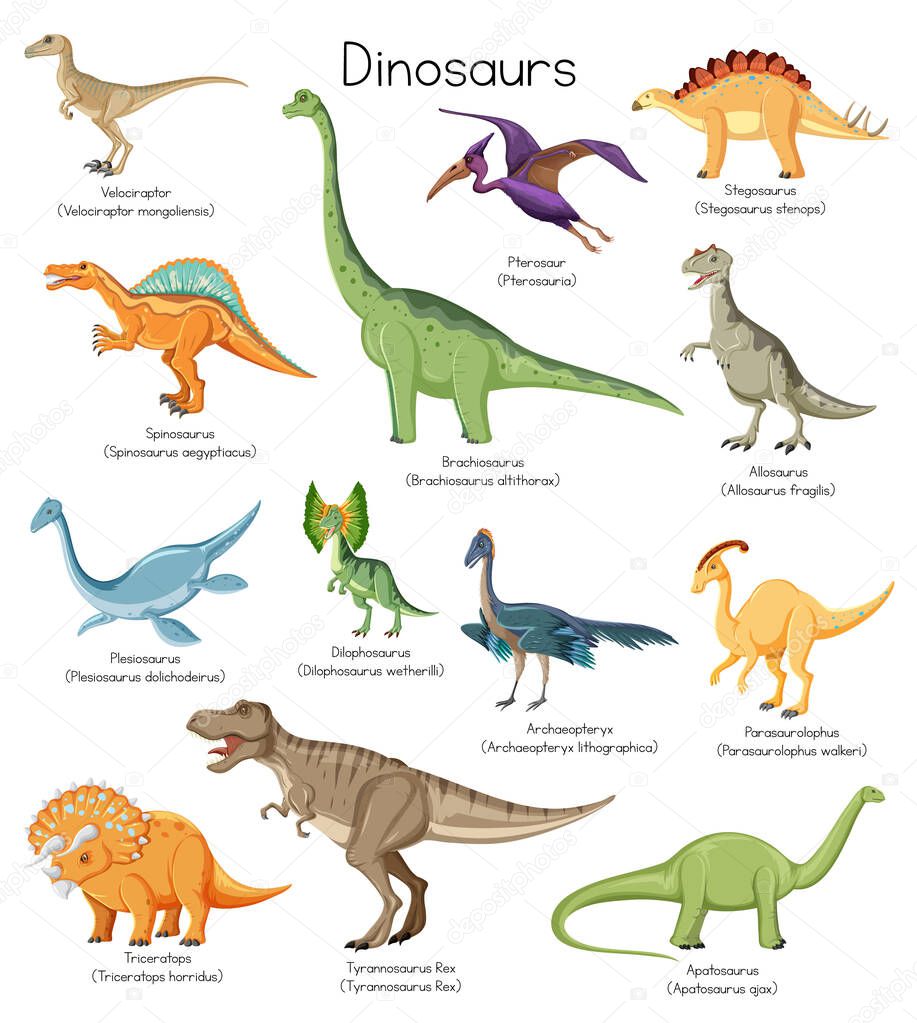 Different types of dinosaurs with names illustration