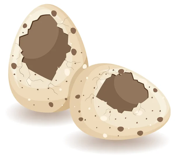 白色背景图上的蛋壳开裂 — 图库矢量图片