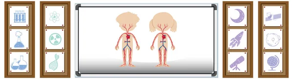 Bord Met Illustratie Van Menselijke Anatomie — Stockvector