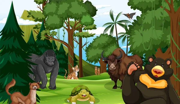 Cena Florestal Com Vários Animais Selvagens Ilustração — Vetor de Stock