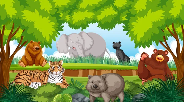 Bosque Escena Con Animales Salvajes Dibujos Animados Personajes Ilustración — Archivo Imágenes Vectoriales