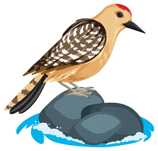 岩絵の上に立つ茶色の鳥 — ストックベクタ