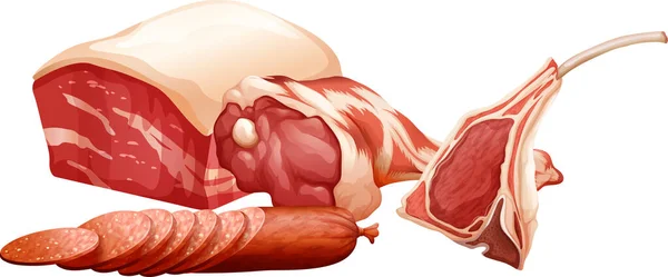 Set Different Raw Meats Illustration — ストックベクタ