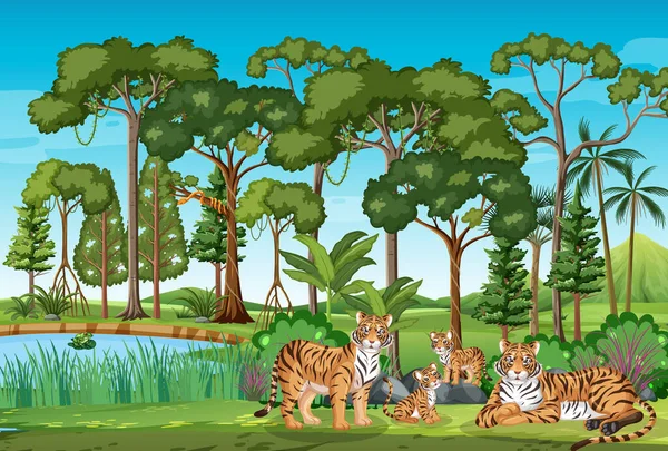 Grupo Tigres Que Vivem Floresta Ilustração —  Vetores de Stock
