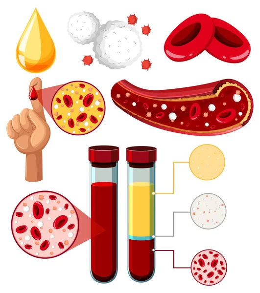 Conjunto Equipos Necesarios Para Ilustración Experimentos Científicos — Archivo Imágenes Vectoriales