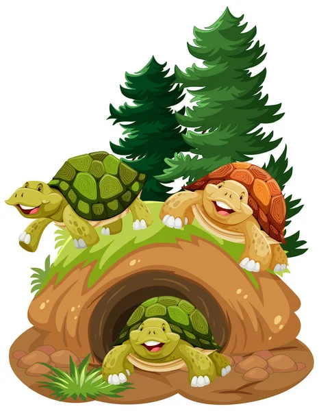 Grupp Sköldpaddor Håla Illustration — Stock vektor