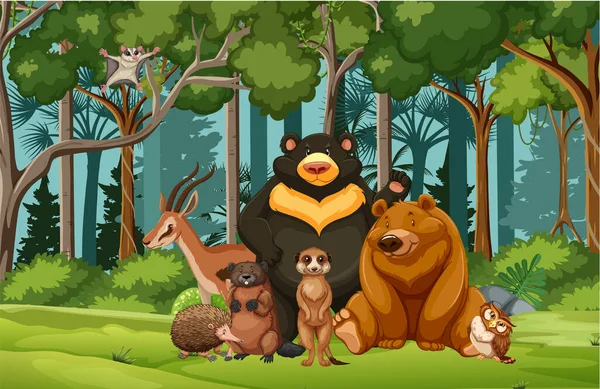 Groupe Animaux Sauvages Dans Nature Illustration Scène Forestière — Image vectorielle