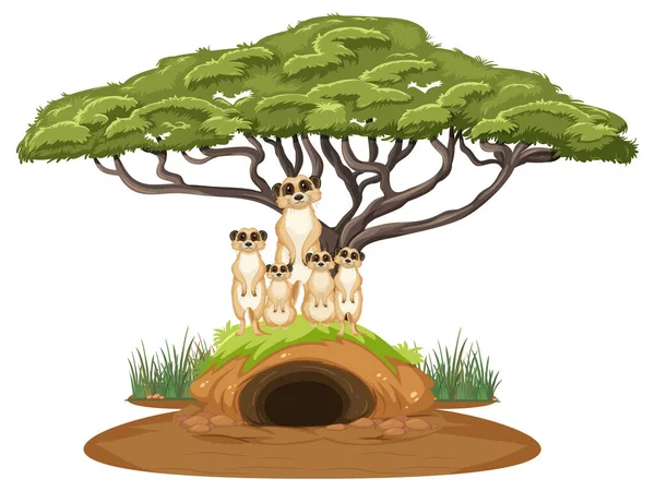 Groupe Suricates Avec Terrier Illustration Style Dessin Animé — Image vectorielle