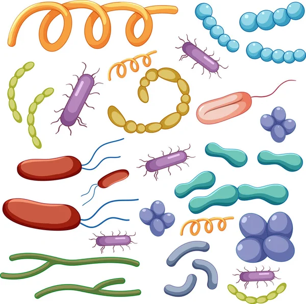 Conjunto Bacterias Iconos Virus Ilustración — Vector de stock